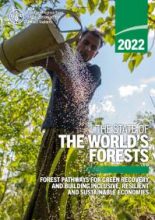 FAO State of Forest 2022